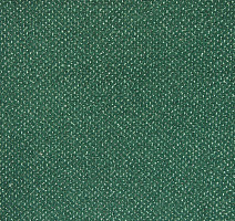 Ковролин Зартекс Eternity 164 Зеленый фото 1 | FLOORDEALER